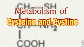 Metabolism of Cysteine and Cystine/ Biochemistry