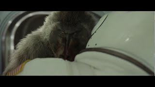 AD ASTRA SPACE MONKEY SCENE