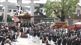 2010年　貝塚だんじり祭　麻生郷地区宮入風景