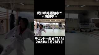 「テコンドー教室（TAA）」2023年5月28日③