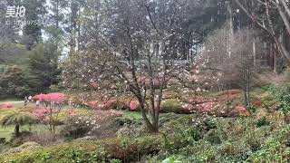 丹德农山脉植物园（Dandenong Ranges Botanic Garden