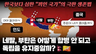 '네팔'과 '부탄'은 어떻게 인도, 중국 합병을 피했을까?｜한국보다 심한 '끼인 국가'의 생존분투기