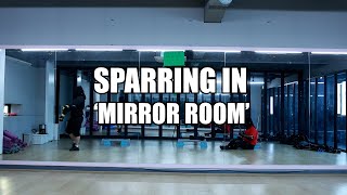Longsword sparring in 'Mirror Room' with my colleague