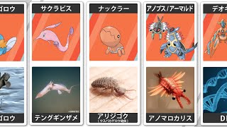 ポケモンとそのモデル 比較【ホウエン/第三世代】(Pokémon Comparison)