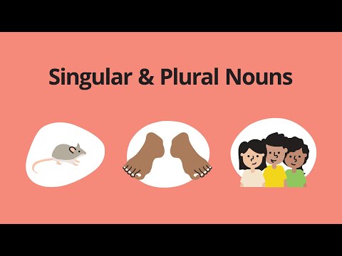 What is a plural noun for woman?