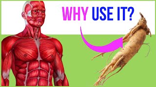 Drinking Ginseng Tea Every Morning And This Will Happens To Your Body