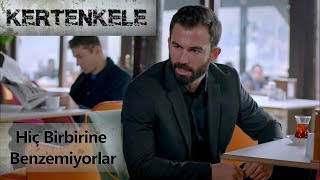 Hiç birbirine benzemiyorlar - Kertenkele