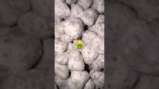 What Are Snowballs