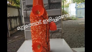 മുട്ടത്തോട്  ഇരിപ്പിണ്ടോ എങ്കിൽ വാ നമുക്കൊരു craft  ചെയാം