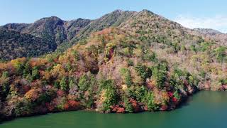 奥日光の紅葉・湯ノ湖【空撮・4K】