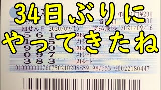 [宝くじ] ナンバーズ3の予想数字大盤振る舞い (2020年11月20日)