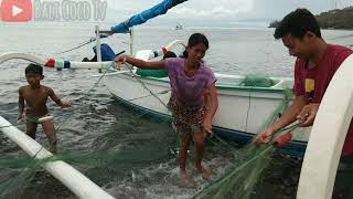 NELAYAN PANEN RIBUAN IKAN TONGKOL