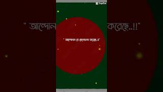 ইসলামের পক্ষে যারা থাকবে তারা মুজাহিদ #viralvideo #funny #comedy #reels #shorts