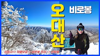 [오대산 비로봉] 설원의 절경 겨울왕국 오대산 등산코스ㅣ상원사에서 출발 적멸보궁 비로봉정상 상왕봉 인증ㅣ임도길 따라 눈썰매 타고 하산ㅣ블랙야크 100대명산 ㅣ눈꽃산행지 적극추천