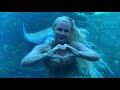 The best moments of meeting a real mermaid