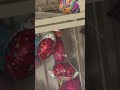 balloons everywhere in ceiling dollar tree dollartree balloons shortsvideo