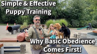 Simple \u0026 Effective Puppy Training | Why We Focus On Basic Obedience First!