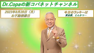 【Dr.Copaの新コパネットチャンネル】2023年8月28日（月）