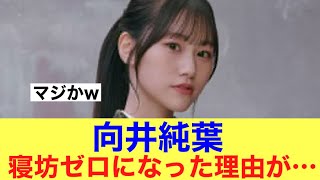 【エピソード】櫻坂46向井純葉が寝坊しなくなった理由が…#櫻坂46 #櫻坂46三期生 #そこ曲がったら櫻坂 #向井純葉