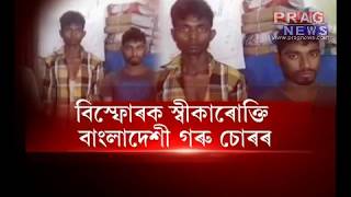 Arrested Illegal Bangladeshi cow thief in Karimganj