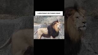 Tiger Roar vs Lion Roar - کدام صدای بلندتر است؟ قسمت اول