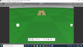 Unity Cricket Game Testing