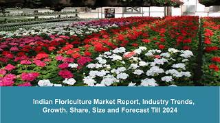 Indian Floriculture Market Share, Size, Growth, Demand and Forecast Till 2024: IMARC Group