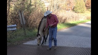 Josey and the Horse Proof Bridge - (Episode 134) - Herm Gailey: A Lifetime with Horses