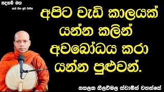 අපිට වැඩි කාලයක් යන්න කලින් අවබෝධය කරා යන්න පුළුවන්.2565Ven Hasalaka Seelawimala Thero