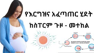 የእርግዝና አፈጣጠር | How pregnancy will occur ?