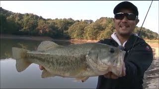 デカバスの捕り方まとめ‼️レイドジャパンレベルクランク１