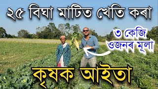 ২৫ বিঘা মাটিত খেতি কৰা কৃষক আইতা।Farming Videos in Assam । Old lady farmer #farmer Pranjal Gogoi