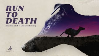 Run To Death: The Rise \u0026 Fall of Greyhound Racing