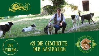 #21 Die Geschichte der Kastration