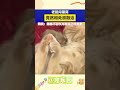 老鼠闯猫窝 竟然相处很融洽 网友：猫猫不会以为是自己的崽吧 宠乐园 轻松一刻 动物