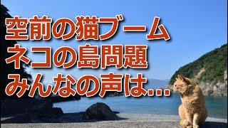 猫アイランド深島　ネコの島問題みんなの声は...