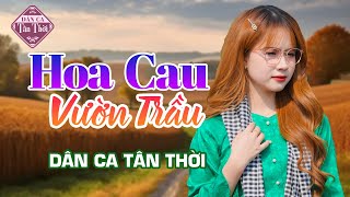 HOA CAU VƯỜN TRẦU ❤ LIÊN KHÚC DÂN CA MIỀN TÂY HAY NHẤT 2024 - Hát nghe ngọt lịm