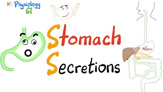 What your Stomach makes -Gastric Secretions - HCl, Pepsin, Gastrin -Exocrine & Endocrine- Physiology