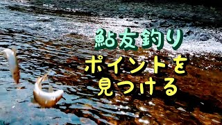 鮎釣り　釣れるポイントの見つけ方【実釣解説】