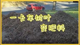 提高土壤肥力，最有效/最低成本/最快速方法  |  no cost, most effective massive soil improvement