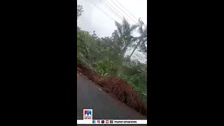 കടപുഴകി പാതയോരത്തെ മരം | Palakkad | Tree Uprooted