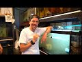 poissons d aquarium À 0 01€ vs 30 000 € toopet