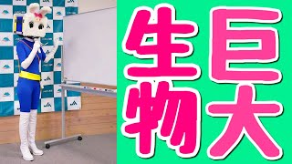 地球上生物クイズinJA佐久浅間【長野県信州佐久市のゆるキャラご当地キャラハイぶりっ子ちゃん】