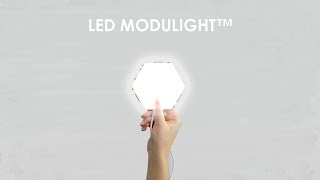 LED MODULIGHT™