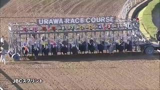 第9回【JBCスプリント】ブルドックボス