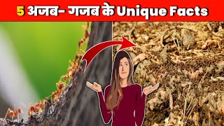 5 अजब- गजब के Unique Facts  | Top 5 Amazing Facts | Facts About Ants | Amazing Facts | #shorts
