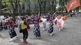 au　原宿表参道元気祭　スーパーよさこい2023 NHK前ストリート　４K　2023 08 26