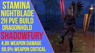 ESO - 2H Stamina Nightblade PVE Build - Shadowfury - Dragonhold