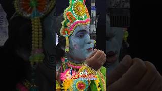 ନଡ଼ିଆ ପତ୍ର କୁଡିଆ//viral songs//Manoj Bhai #brahmagiriculture