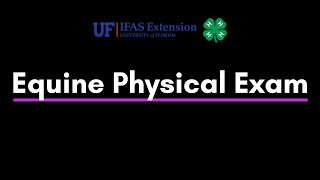 Equine Physical Exam